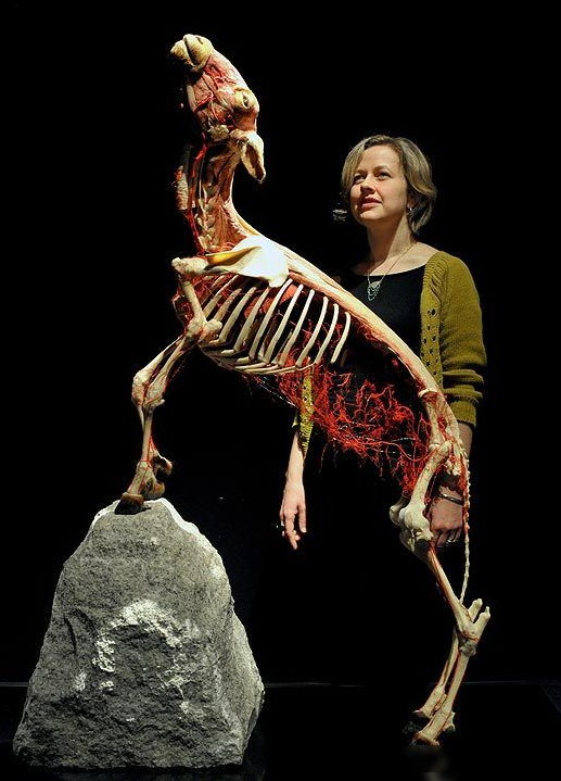 20個(gè)引人注目的展廳設(shè)計(jì)