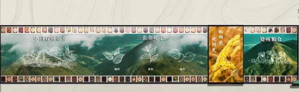 鄉(xiāng)村振興展廳設計案例分享