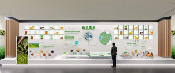 鄉(xiāng)村振興展廳設計案例分享