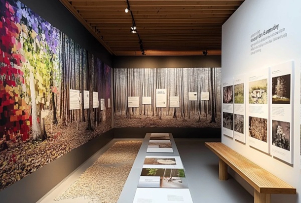 展廳設(shè)計(jì)的靈魂密碼：如何精準(zhǔn)提煉核心元素？