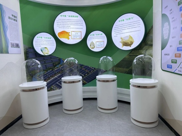 農(nóng)業(yè)產(chǎn)業(yè)園展廳設計案例