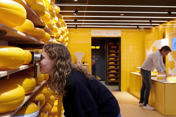 奶酪體驗中心展廳設(shè)計