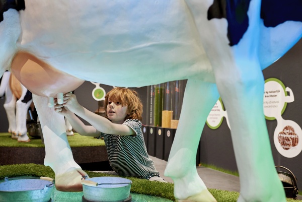 奶酪體驗中心展廳設(shè)計