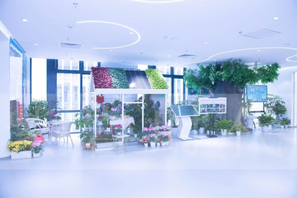 北京園林集團(tuán)智慧展廳設(shè)計(jì)