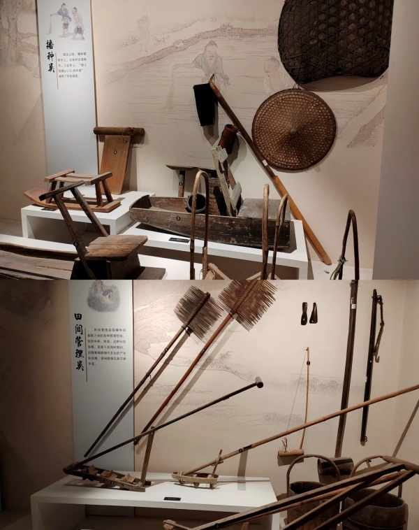 華南農(nóng)業(yè)博物館——大地文明的詩(shī)篇