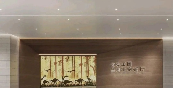 化石王國——熱河生物群展廳設(shè)計(jì)