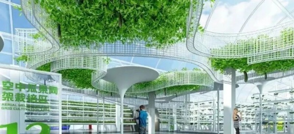 農(nóng)業(yè)大學:仿真實訓場景設(shè)計